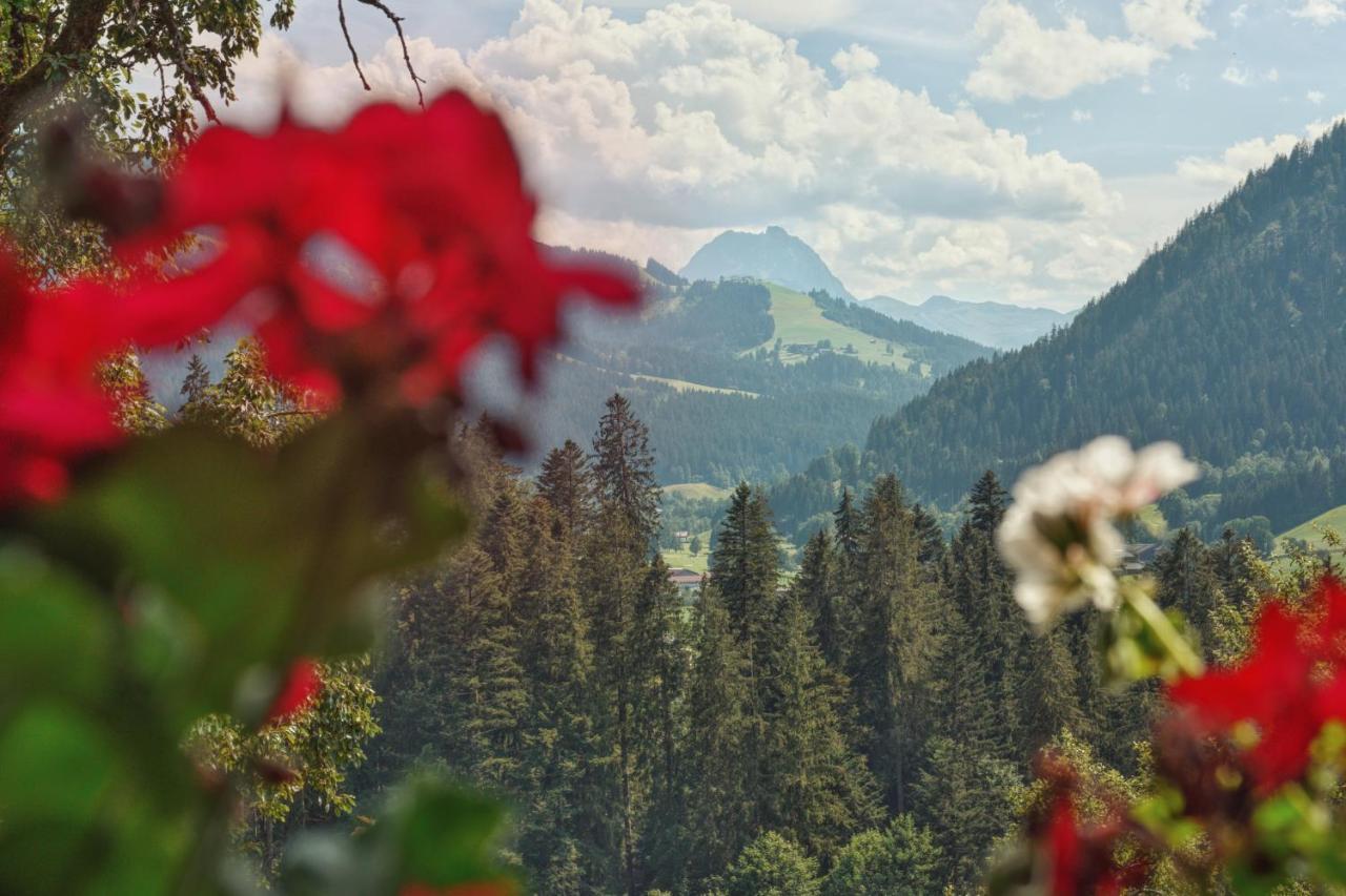 Apartment Wachinghof Reith bei Kitzbuehel Ngoại thất bức ảnh