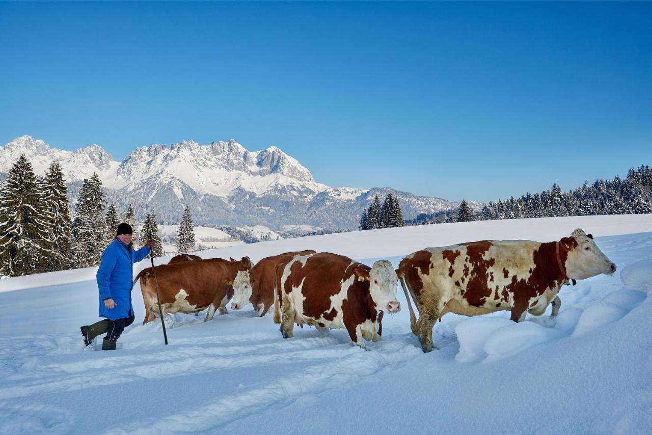Apartment Wachinghof Reith bei Kitzbuehel Ngoại thất bức ảnh